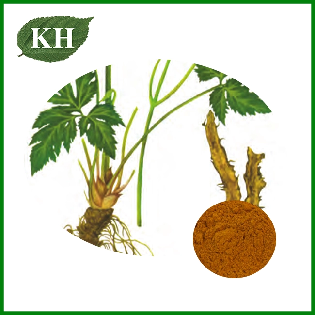 Rhizoma Coptidis Extract
